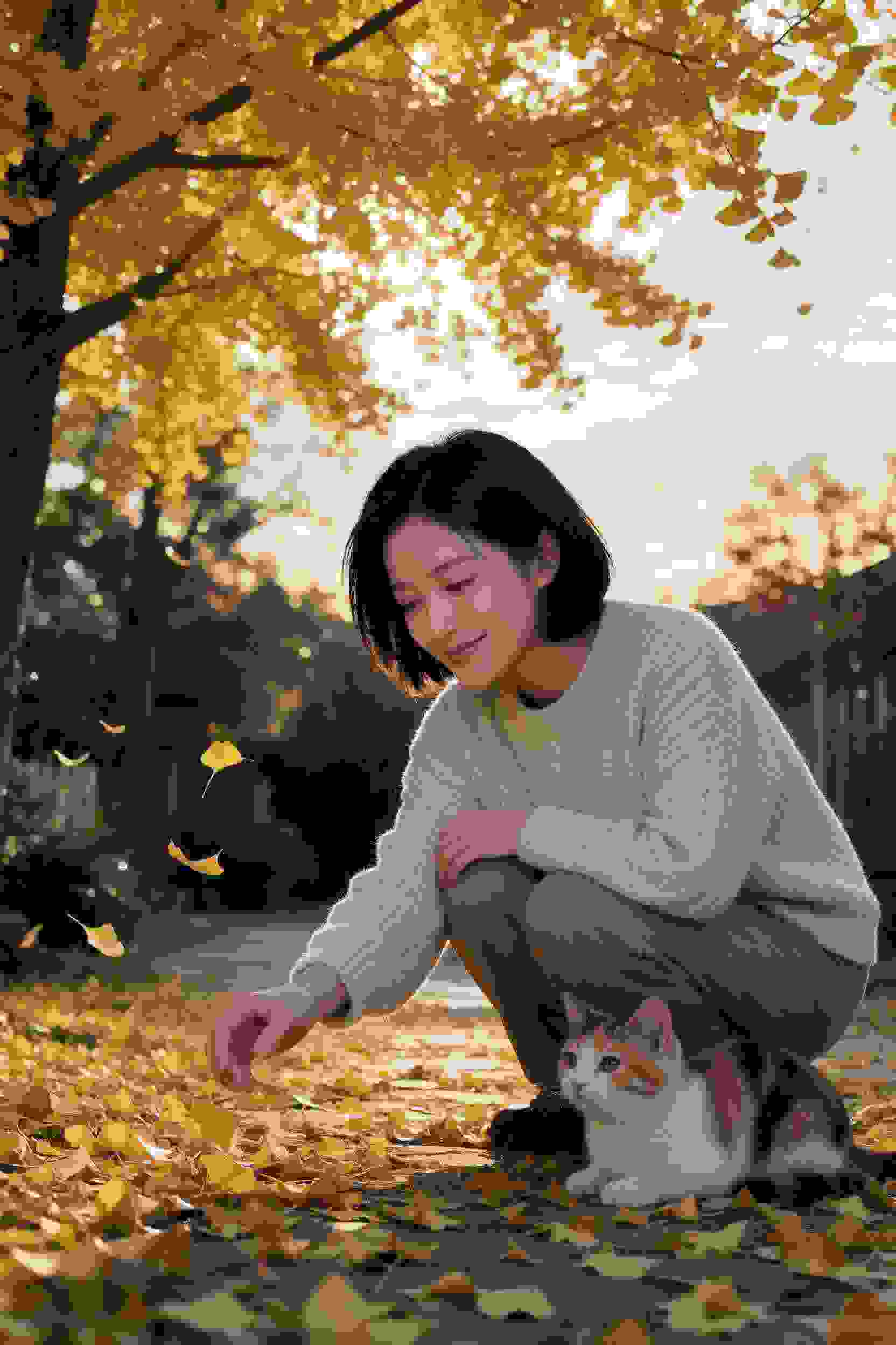 归墟档案 剧集封面